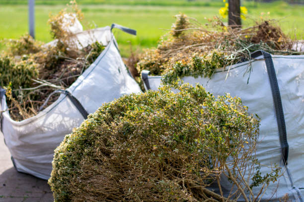 Best Office Junk Removal  in Ocilla, GA